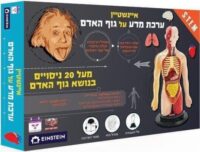 ⁦מודל גוף האדם – ערכת מדע לילדים ונוער המשלבת למידה, חקר והרכבה חווייתית⁩ – תמונה ⁦5⁩