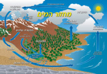 מפת מחזור המים בטבע בעברית עם למינציה ובגודל 70X100