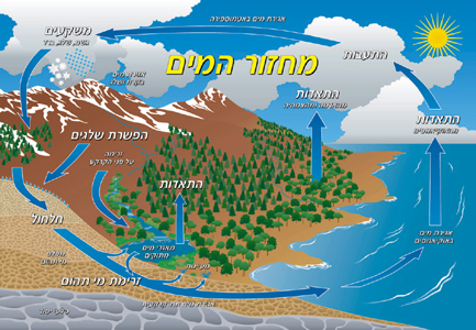 מחזור המים מפה מפת מחזור המים בטבע בעברית עם למינציה ובגודל 70X100 – תמונה 1