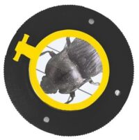 ⁦טרריום חקר עם הגדלה פי X6 לחקר בעלי חיים קטנים מבית Buki בוקי צרפת⁩ – תמונה ⁦6⁩