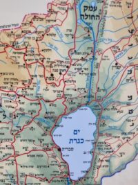⁦מפת ישראל פיזית מקצועית 38X100 ס"מ מעודכנת 2025⁩ – תמונה ⁦2⁩