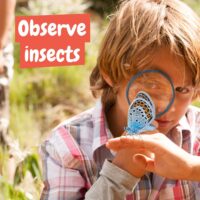 ⁦ערכת ניסויי המדע הראשונה שלי My First Science Kit מבית Science4you⁩ – תמונה ⁦6⁩