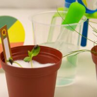 ⁦ערכת ניסויי המדע הראשונה שלי My First Science Kit מבית Science4you⁩ – תמונה ⁦9⁩