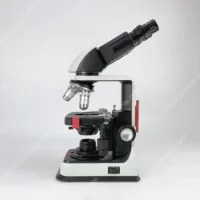 ⁦מיקרוסקופ מקצועי בינוקולרי 40X-1000X 220B תומך בשמן אימרסיה למתקדמים תלמידים ומעבדות מבית AMZ Instruments⁩ – תמונה ⁦7⁩