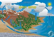 מפת מחזור המים בטבע בעברית עם למינציה ובגודל 70X100