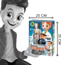 ⁦ערכת ניסויים מדעיים בגוף האדם עם מודל טורסו ושלד עם איברים פריקים ללימוד על מערכות הגוף השונות מבית Buki צרפת⁩ – תמונה ⁦9⁩
