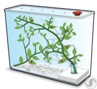⁦ערכה ביתית לבניית בית לגידול והאכלה של חיפושיות - ממלכת החיפושיות מבית InterPlay בריטניה⁩ – תמונה ⁦4⁩