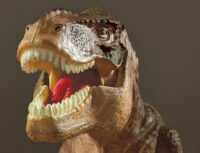 ⁦מקרן בצורת דינוזאור ענק  T-REX המקרין שקופיות ושואג מבית Brainstorm אנגליה⁩ – תמונה ⁦2⁩