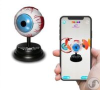 ⁦ערכת מודל העין האנושית - מודל מבנה העין לילד ולאופתלמולוג המתחיל⁩ – תמונה ⁦3⁩
