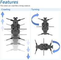 ⁦ערכת רובוט נמלה לתכנות עם בקר תואם ארדואינו כולל מטריצת לד חיישן אולטרסוני ושלט רחוק מבית Freenove⁩ – תמונה ⁦3⁩