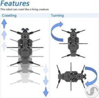 ⁦ערכת רובוט נמלה לתכנות עם בקר תואם ארדואינו כולל מטריצת לד חיישן אולטרסוני ושלט רחוק מבית Freenove⁩ – תמונה ⁦10⁩
