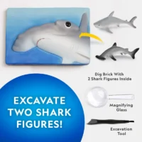 ⁦ערכת מדע Shark Tooth Dig Kit - ערכת חפירה של 2 שיני כריש אמיתיות מבית National Geographic⁩ – תמונה ⁦3⁩