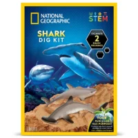 ⁦ערכת מדע Shark Tooth Dig Kit - ערכת חפירה של 2 שיני כריש אמיתיות מבית National Geographic⁩ – תמונה ⁦5⁩
