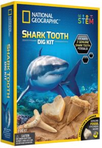 ⁦ערכת מדע Shark Tooth Dig Kit - ערכת חפירה של 2 שיני כריש אמיתיות מבית National Geographic⁩ – תמונה ⁦6⁩