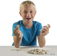 ⁦ערכת מדע Shark Tooth Dig Kit - ערכת חפירה של 2 שיני כריש אמיתיות מבית National Geographic⁩ – תמונה ⁦9⁩