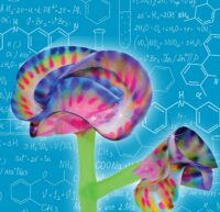 ⁦ערכת ניסויי המדע המורחבת שלי Super Science Kit 6in1 מבית Science4you⁩ – תמונה ⁦9⁩