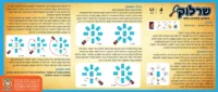 ⁦משחק חשיבה לילדים שרלוק - משחק קלפים בלשי מבית FoxMind⁩ – תמונה ⁦2⁩