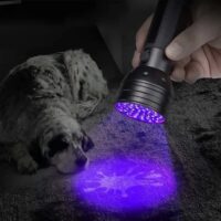 ⁦פנס יד אולטרה סגול  UV עם 51 לדים עוצמתיים LED UV⁩ – תמונה ⁦5⁩