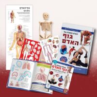 ⁦ערכת מדע לילדים גוף האדם - ערכת לימוד ופעילות העולם המופלא של גוף האדם מבית Wonders Of Learning⁩ – תמונה ⁦2⁩
