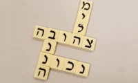 ⁦משחק חשיבה לילדים בננהגראמס בעברית BANANAGRAMS⁩ – תמונה ⁦5⁩